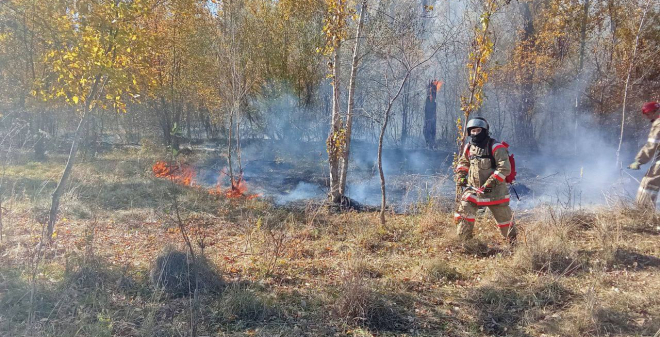 В лесах Саратовской области завершен пожароопасный сезон