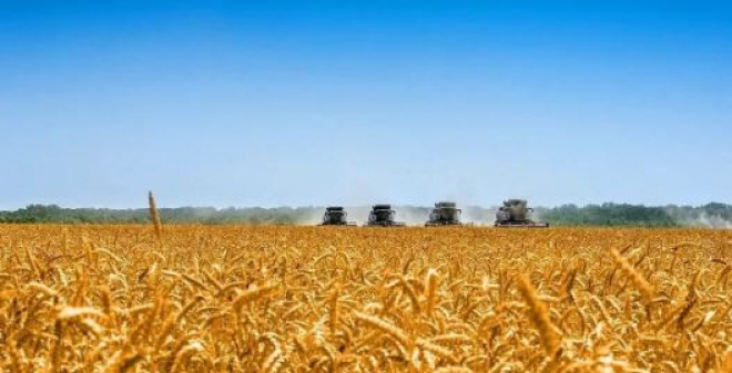 Уборочная кампания в Саратовской области приближается к экватору