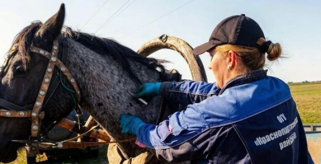 Госветслужба Саратовской области провела 4,5 миллиона профилактических вакцинаций