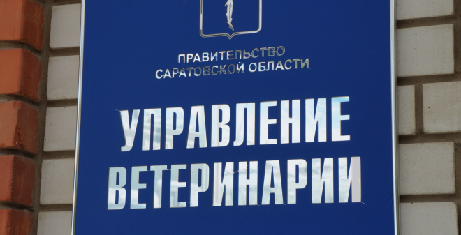 Владельца собаки привлекли к ответственности за нарушение порядка выгула