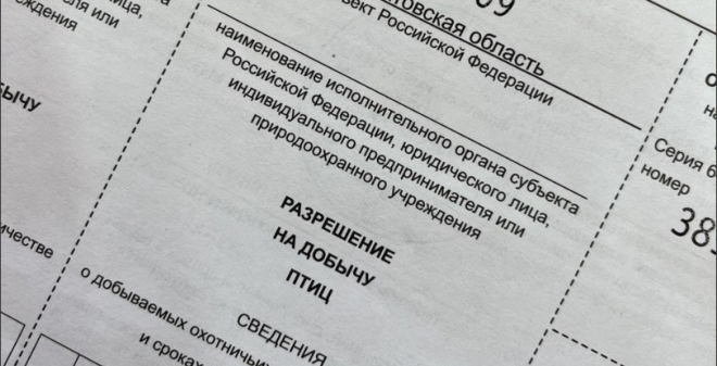 Со следующей недели начинается выдача разрешений на пернатую дичь
