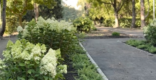 В Городском парке высадят 100 деревьев и 4000 кустарников