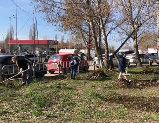 Более 15 тысяч саратовцев присоединилось к общегородскому субботнику