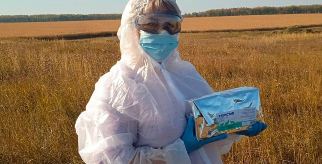 Саратовские ветеринары спасают диких животных от бешенства