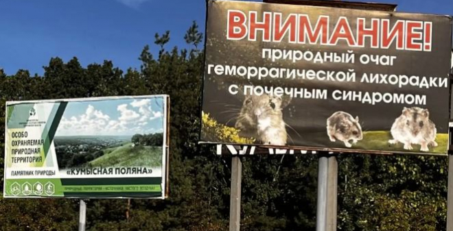 На Кумысной поляне проведут сплошную дератизацию