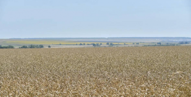 Саратовским аграриям направлено множество мер государственной поддержки