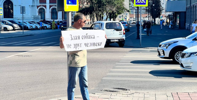 Саратовцы вышли на улицы с требованием избавить город от бездомных собак