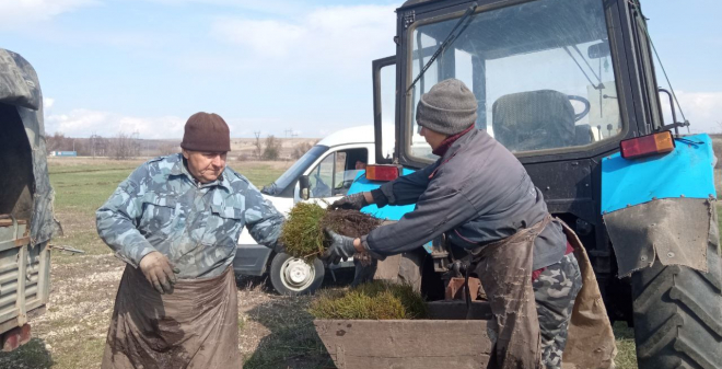 В Саратовской области активно ведутся весенние лесопосадки