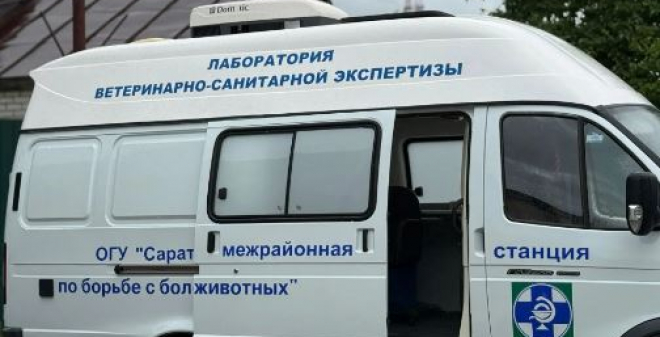 Более 10 тонн опасной еды не попало на столы жителей
