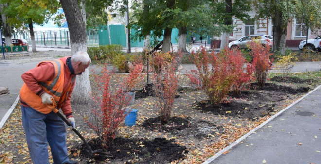 В Саратове началась осенняя высадка зеленых насаждений