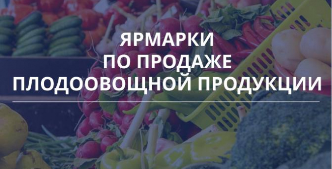 В районах Саратова организованы ярмарки по продаже овощей и фруктов