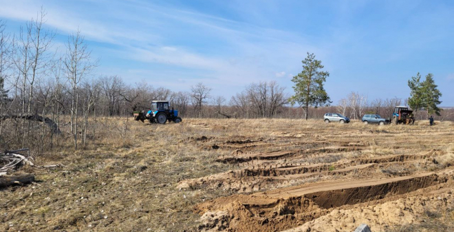 В Саратовской области началась посадка леса
