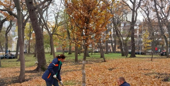В Городском парке высаживают дубы