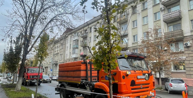 В центральной части города продолжается посадка крупномерных саженцев клена остролистного
