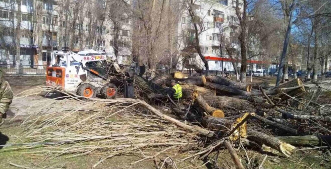 В Саратове благоустраивают парки и скверы