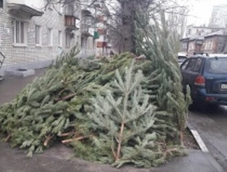 В Волжском районе выявлен факт несанкционированной торговли елками