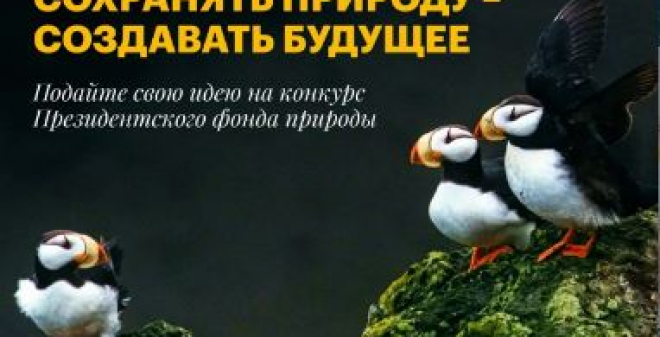 Саратовцев приглашают принять участие в конкурсе экологических и природоохранных проектов