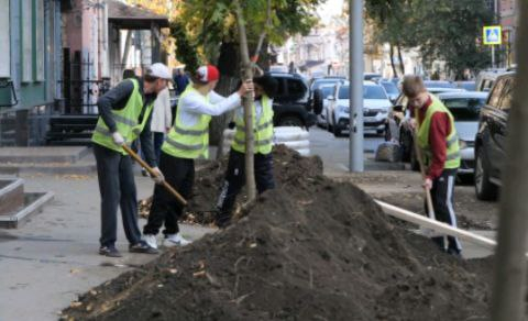 В Саратове стартовала программа озеленения центральных улиц