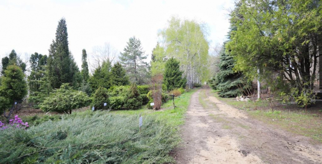 Общественник предложил восстановить ботанический сад СГУ и построить новые общежития