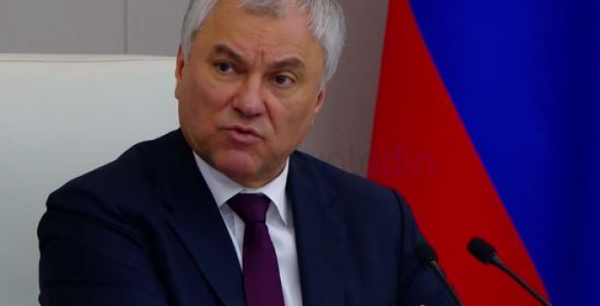 Володин поставил задачу  – до понедельника подготовить законодательное решение по защите детей от бродячих собак