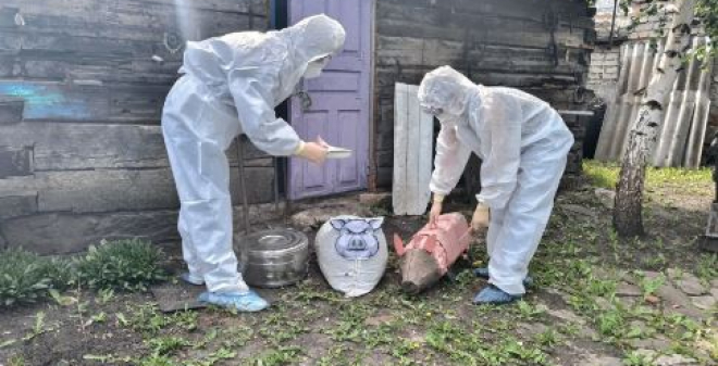 Специалисты Госветслужбы отработали действия при возникновении опасных заболеваний