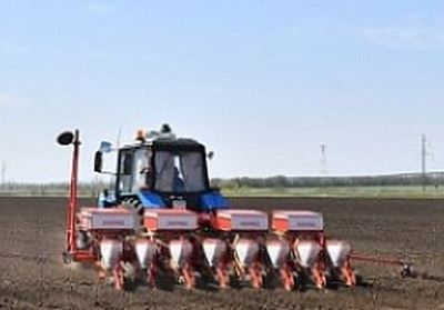 Саратовские аграрии области полностью обеспечены семенами кукурузы, свеклы, подсолнечника, овощных культур