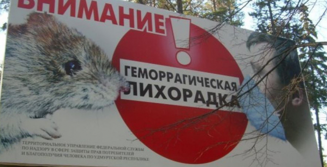 Роспотребнадзор напоминает о мерах профилактики геморрагической лихорадки