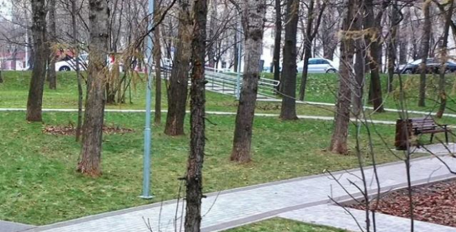 В Саратове завершены сезонные работы по озеленению общественных пространств