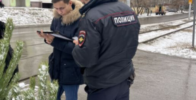 В Заводском районе выявили факты несанкционированной торговли елками