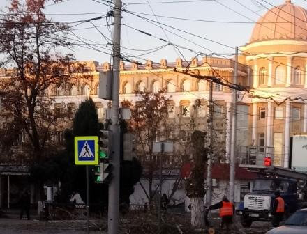 Администрацией города продолжается работа по озеленению Саратова