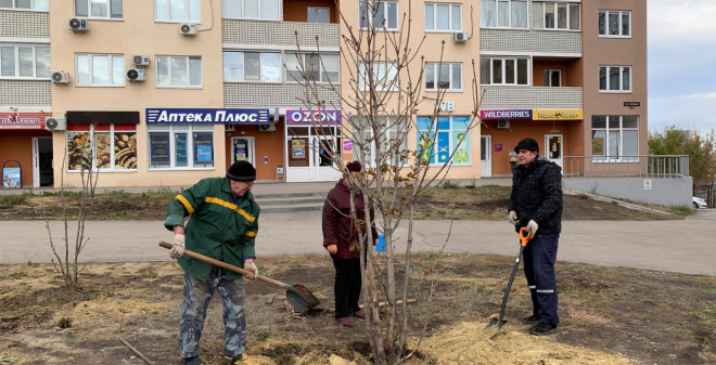 В Саратове продолжают сажать деревья в рамках акции «Посади дерево»