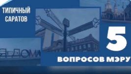 Михаил Исаев озвучил ряд мер по решению проблемы безнадзорных животных на улицах города