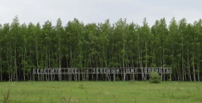 Авиалесоохрана спрогнозировала повышенную пожарную опасность в лесах Саратовской области в июле 2026 года