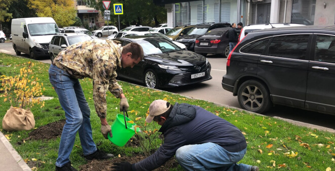 В Октябрьском районе высаживают зеленые насаждения