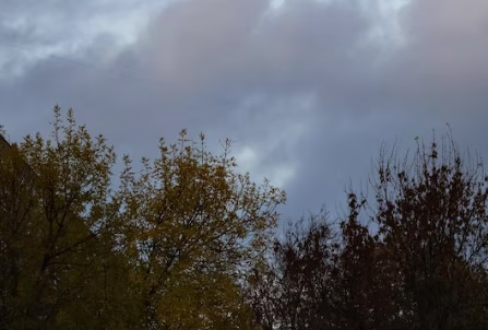 В Саратове прогнозируют облачную погоду с дождями и туманом