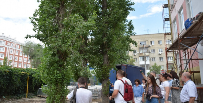 Деревья возле гимназии № 3 осмотрели специалисты мэрии Саратова