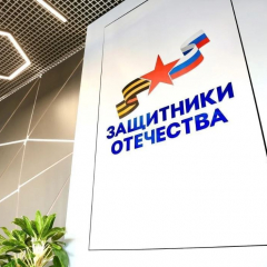Бесплатная юридическая помощь ветеранам СВО: как работает система в Саратовской области