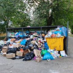 Панков предложил создавать в районах МУПы для качественной уборки мусора