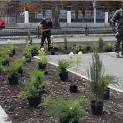 Продолжается озеленение бульвара по улице Астраханской