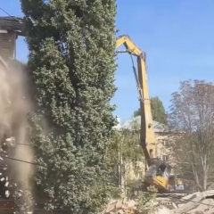 В Заводском районе продолжается снос расселенных домов