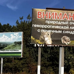 На Кумысной поляне проведут сплошную дератизацию