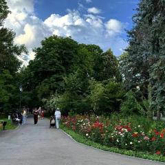 В понедельник синоптики ожидают в Саратове пасмурную и дождливую погоду