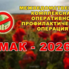 В регионе стартовал третий этап оперативно-профилактической операции «Мак - 2026»