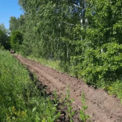 Лесхозы провели противопожарное обустройство земель лесного фонда