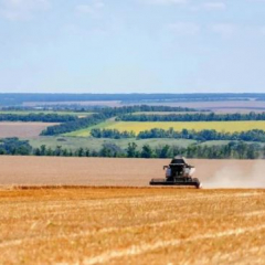 Урожай зерна в Саратовской области приближается к 4 миллионам тонн