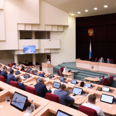 Дума поддержала инициативу депутатов о совершенствовании механизмов мониторинга и парламентского контроля