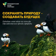 Саратовцев приглашают принять участие в конкурсе экологических и природоохранных проектов