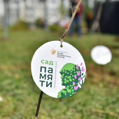 Саратовская область сохраняет лидерство во Всероссийской акции «Сад памяти»