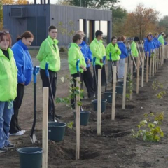 В Парке покорителей космоса заложена сиреневая Аллея женщин России