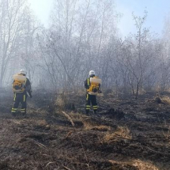 Лесопожарная обстановка у села Лох стабилизирована